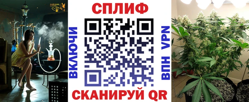 Купить закладку Каннабис  Меф  СОЛЬ  Гашиш  Галлюциногенные грибы  КОКАИН  Людиново