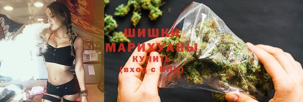 PSILOCYBIN Алзамай