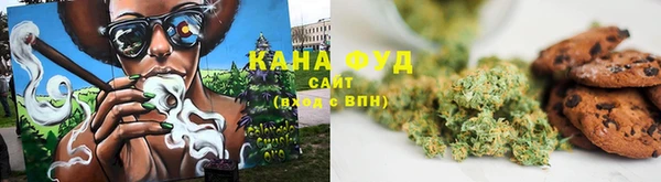PSILOCYBIN Алзамай