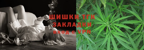 PSILOCYBIN Алзамай