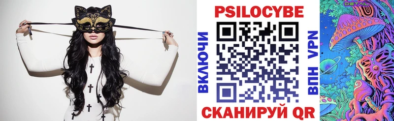 Купить закладки  Людиново  Галлюциногенные грибы Psilocybe 