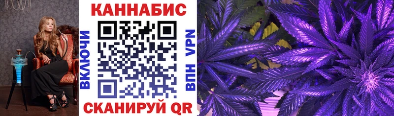 Купить где  Людиново  Бошки марихуана Amnesia 